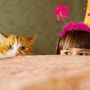 Spelletjes voor katten Spelletjes voor katten: kat met meisje