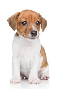 vacht_shutterstock_162708347