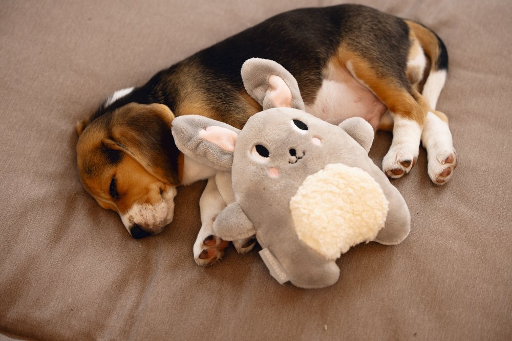 puppy knuffel