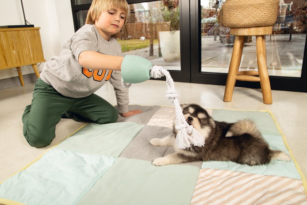 Pup-voorstellen-aan-de-kinderen
