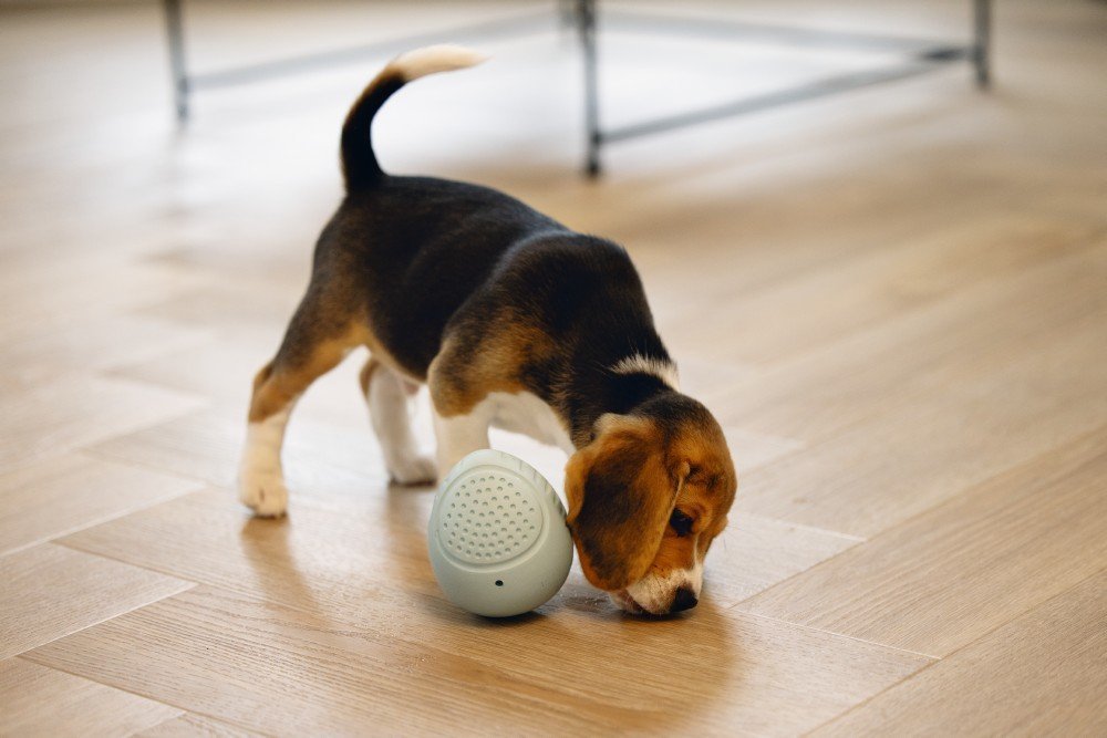 Puppy speelgoed