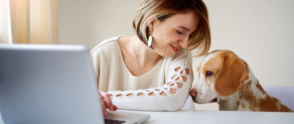 Hond wennen aan alleen thuis zijn