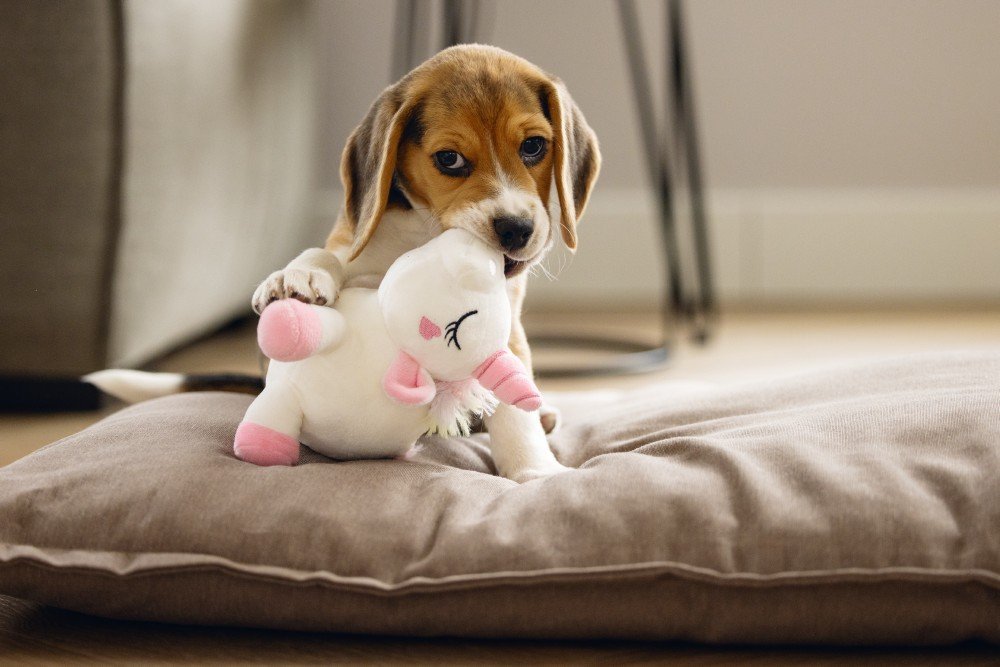 Puppy Knuffel