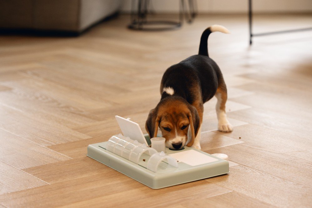 Puppy Speelgoed