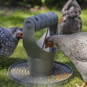 Kip voertoren Kip Speel-en snacktoren