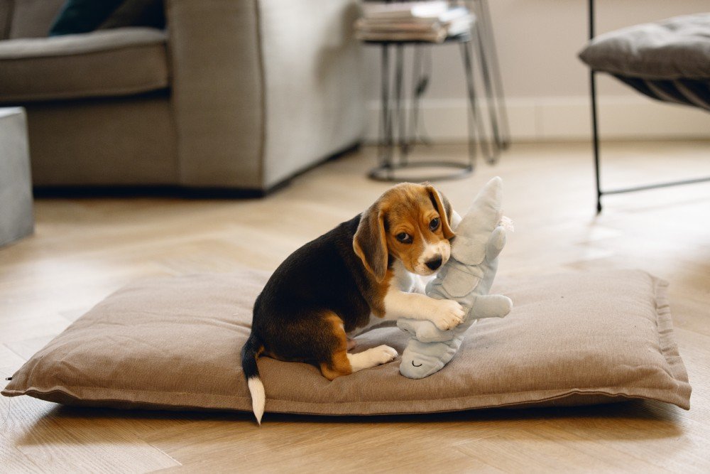 puppy speelgoed