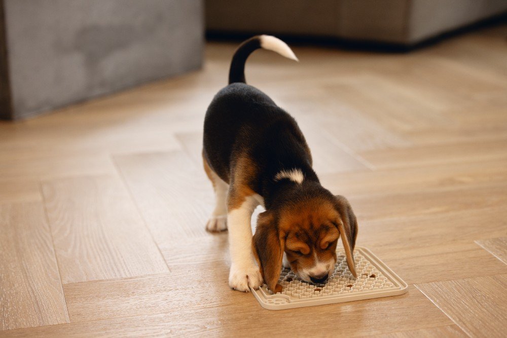 Puppy speelgoed