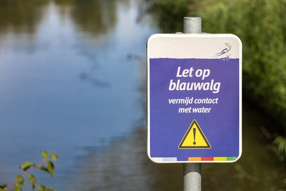 Voorkom 6 gevaarlijke zomerproblemen voor je hond!