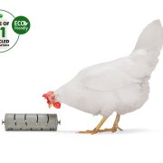 kippenspeelgoed snackroller