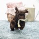 De-belangrijkste-routine-en-regels voor-je-puppy