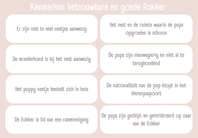 Kenmerken-goede-fokker goede fokker