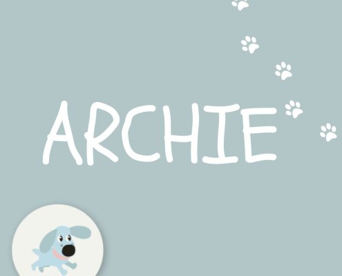 ARCHIE