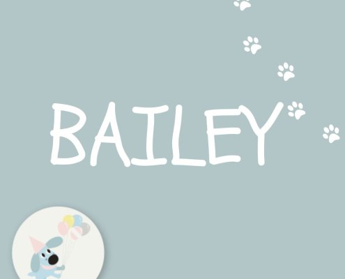 BAILEY