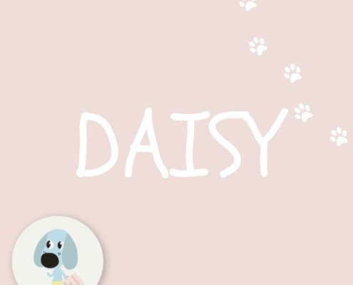 DAISY