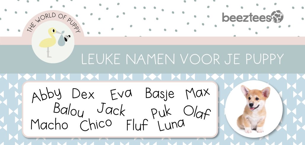 Hondennamen