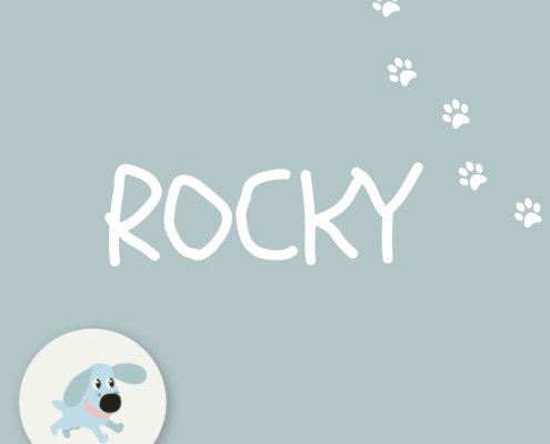 ROCKY