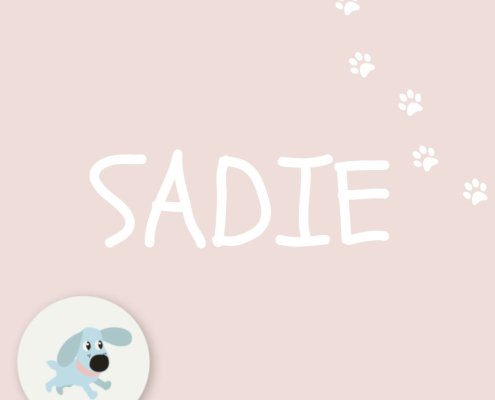 SADIE