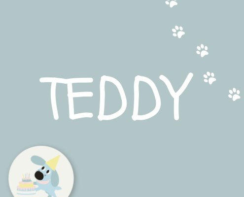 TEDDY