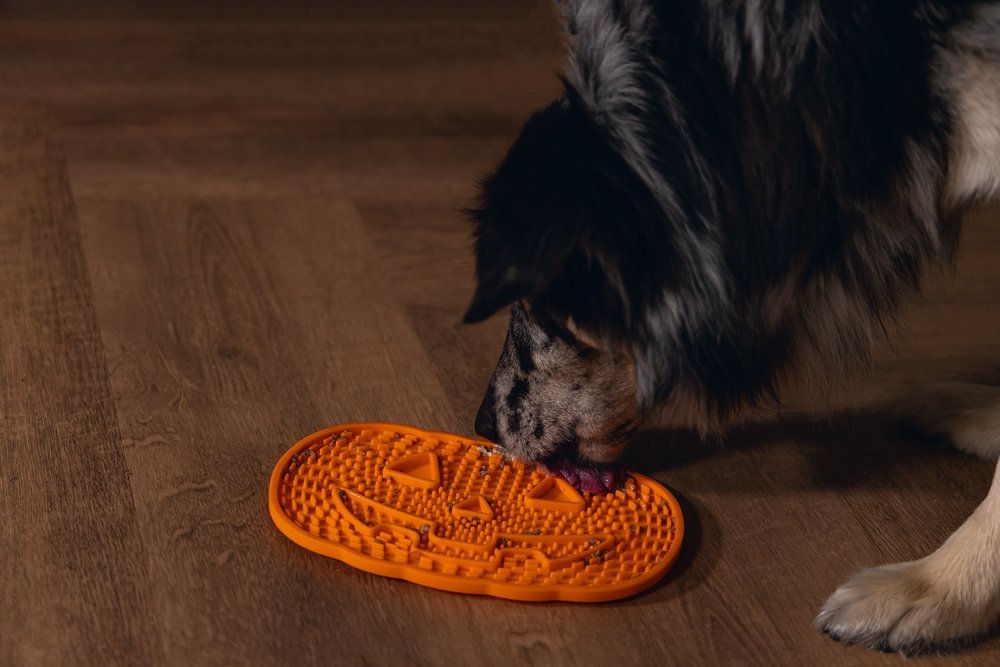 Halloween Likmat Halloween speelgoed hond