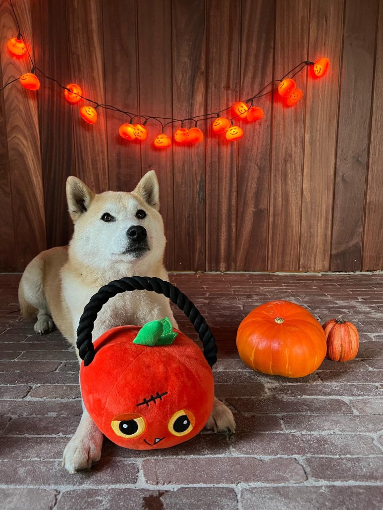 Halloween-hondenspeelgoed