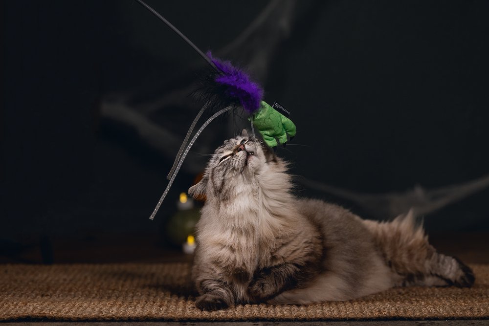Halloween kattenhengel