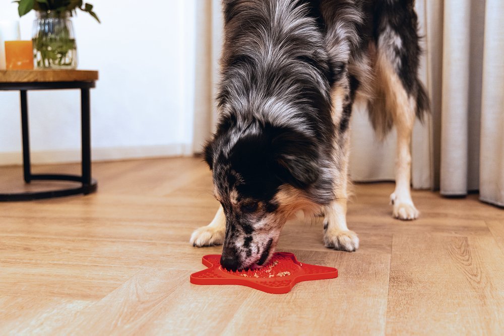 Beeztees_Likmat Ster_Likmat_Hond Likmat hond