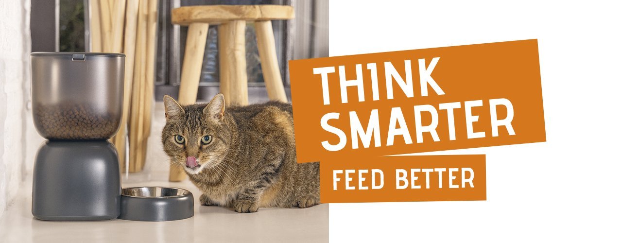 Banner_SMART